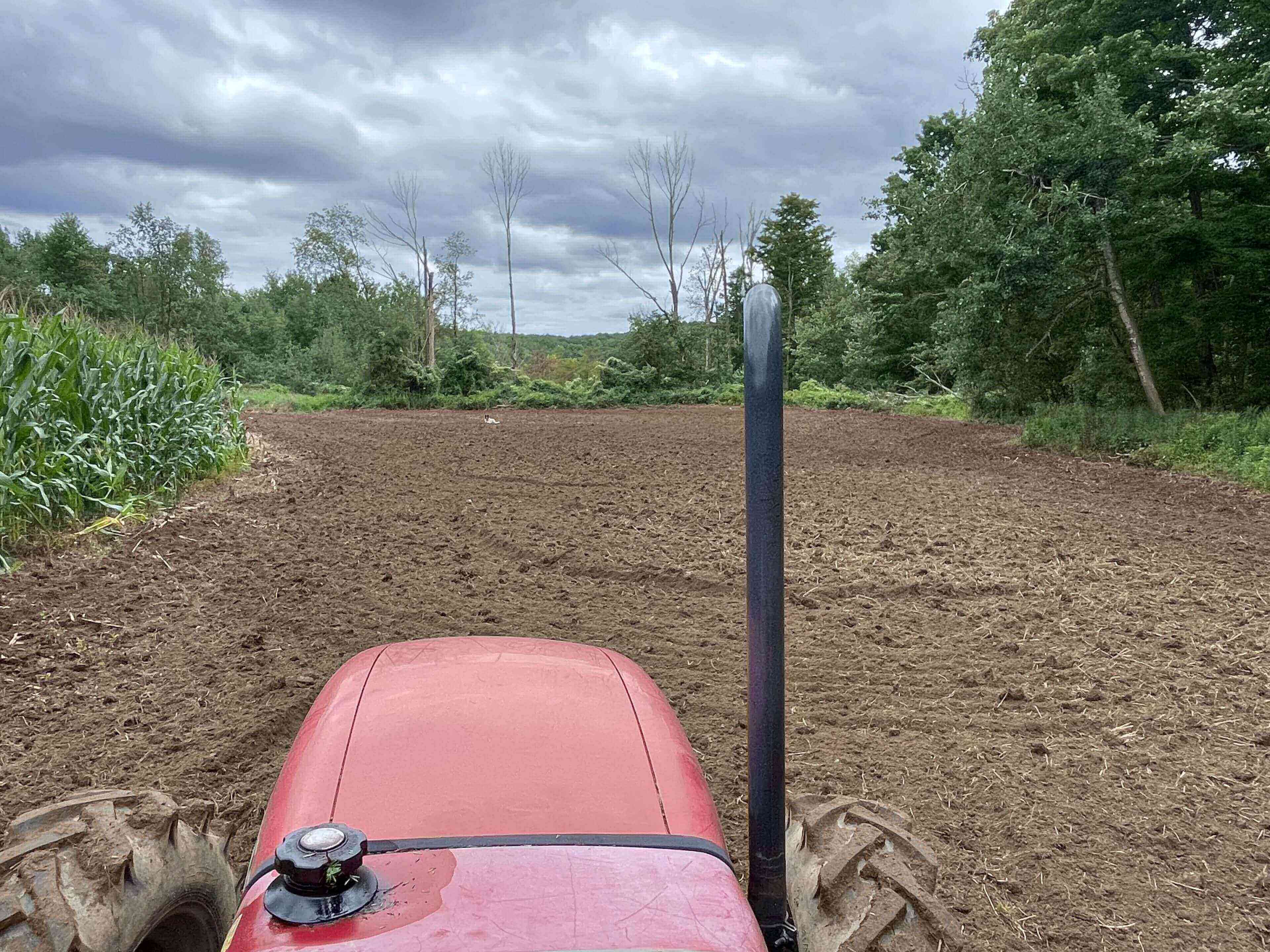 Red tractor on freshly plowed farmland.