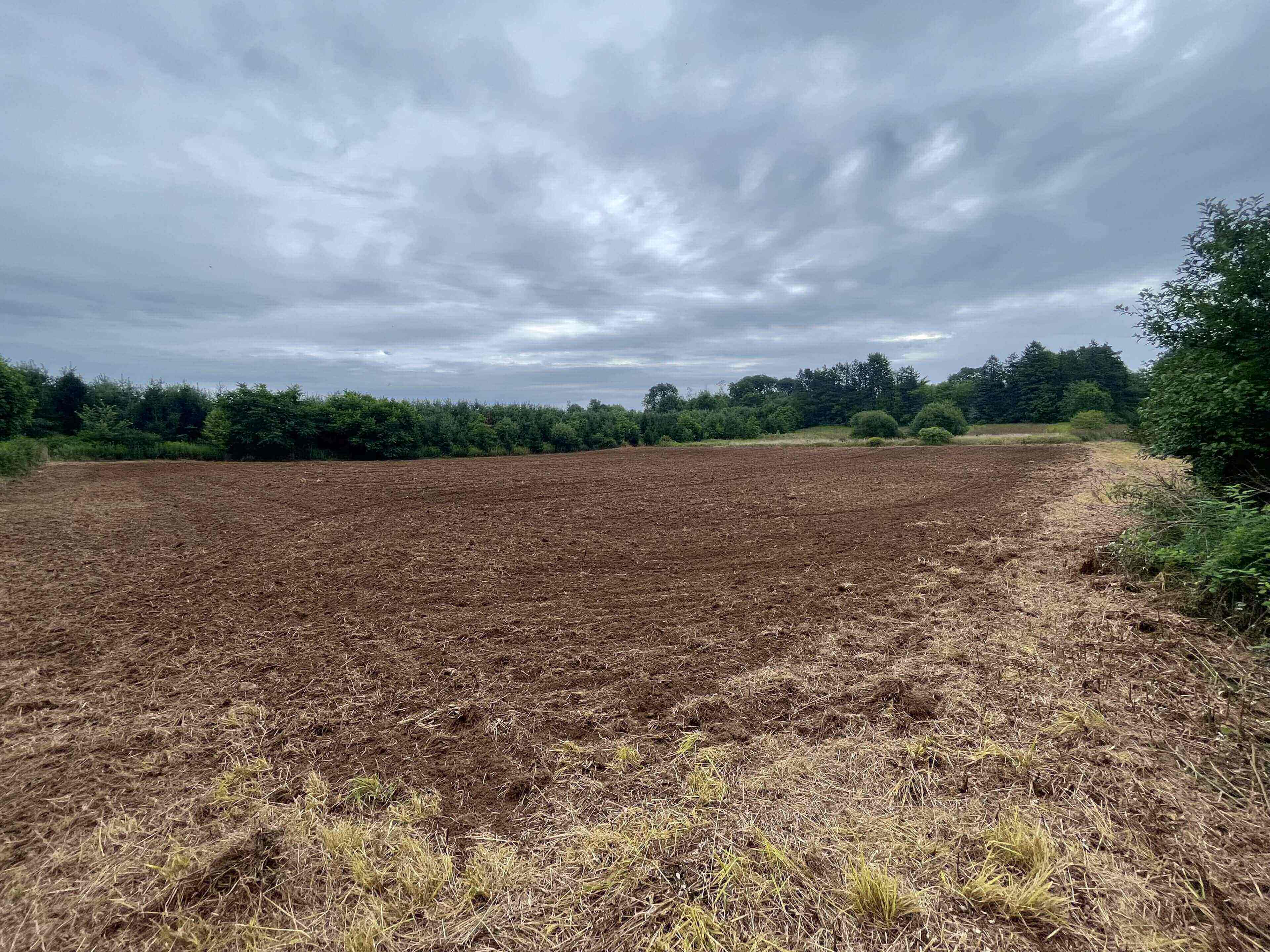 Plowed field under cloudy sky, surrounded by trees.