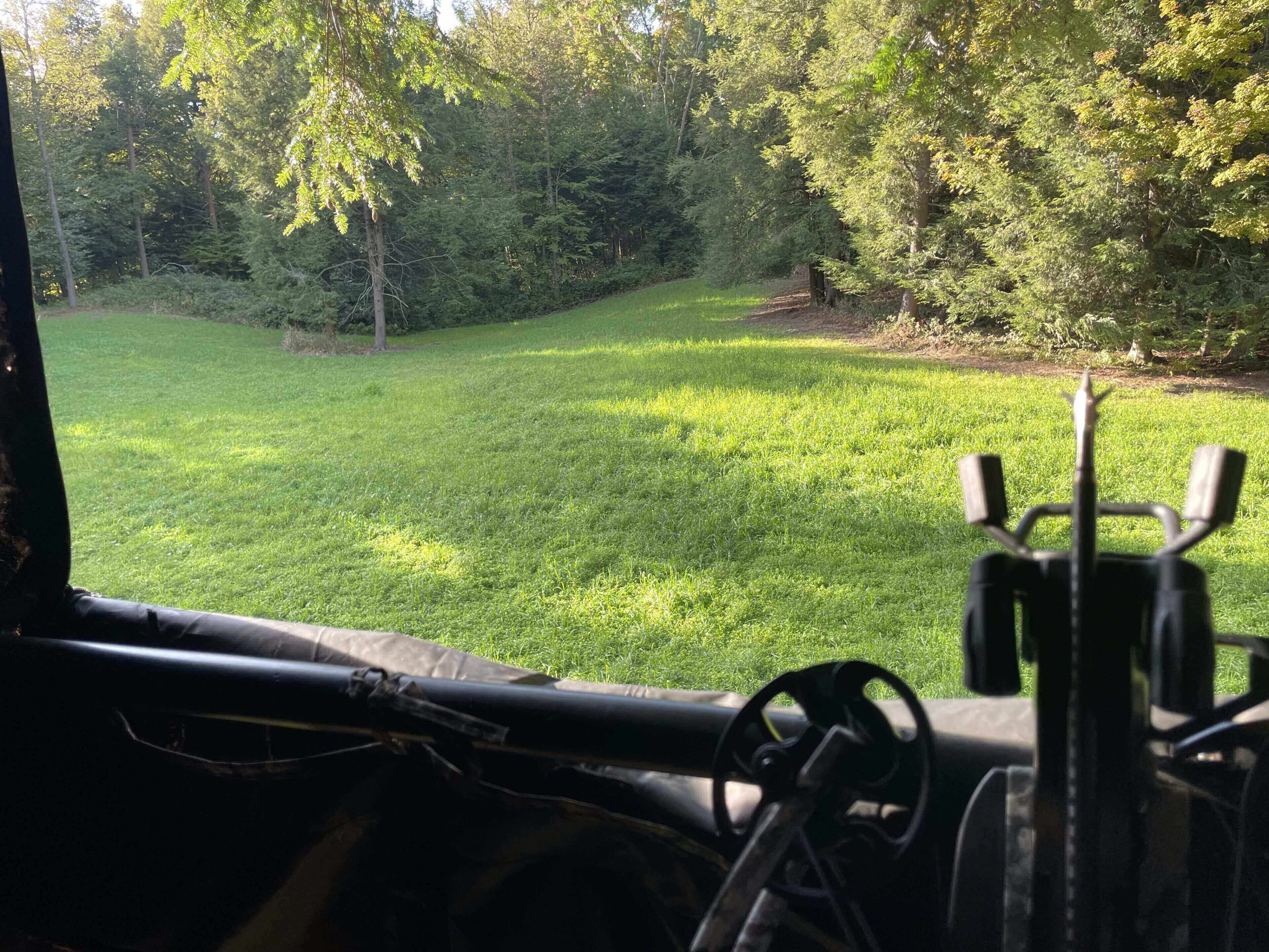 View from hunting blind overlooking grassy field.